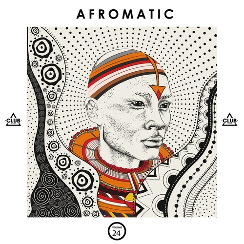 VA - Afromatic, Vol. 24 [CSCOMP3317]